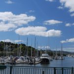 Whangarei Marina