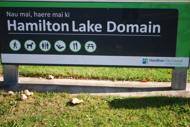 Hamiton Domain