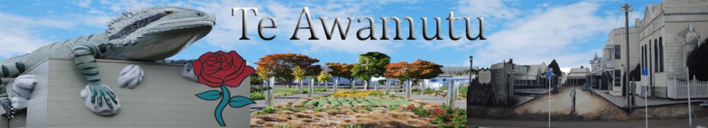 Te Awamutu