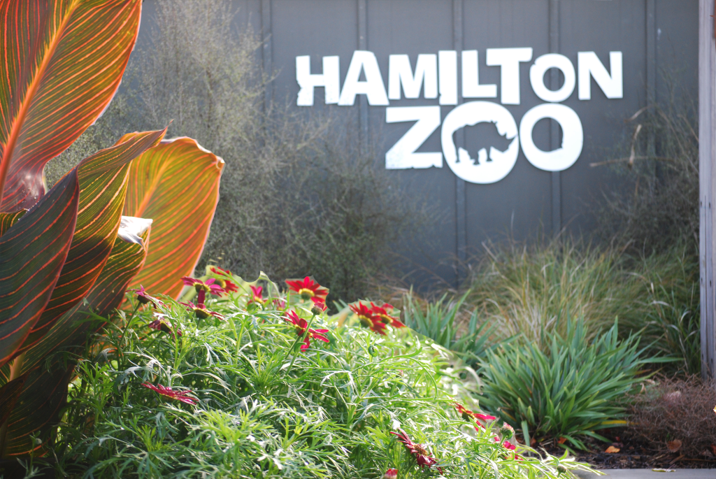 Hamilton Zoo