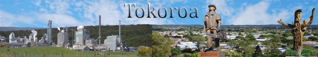 Tokoroa