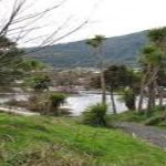 Howarth Memorial Wetlands