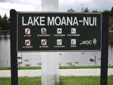 Lake Moana Nui