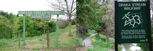 Lorraine Moller Arboretum