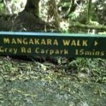 Pirongia Mangakara Nature Walk