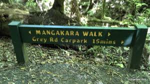 Pirongia Mangakara Nature Walk