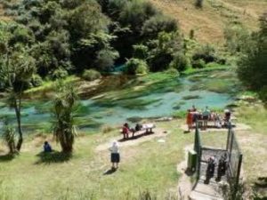 Blue Spring and Te Waihou Walkway: