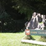 Waipu Caves