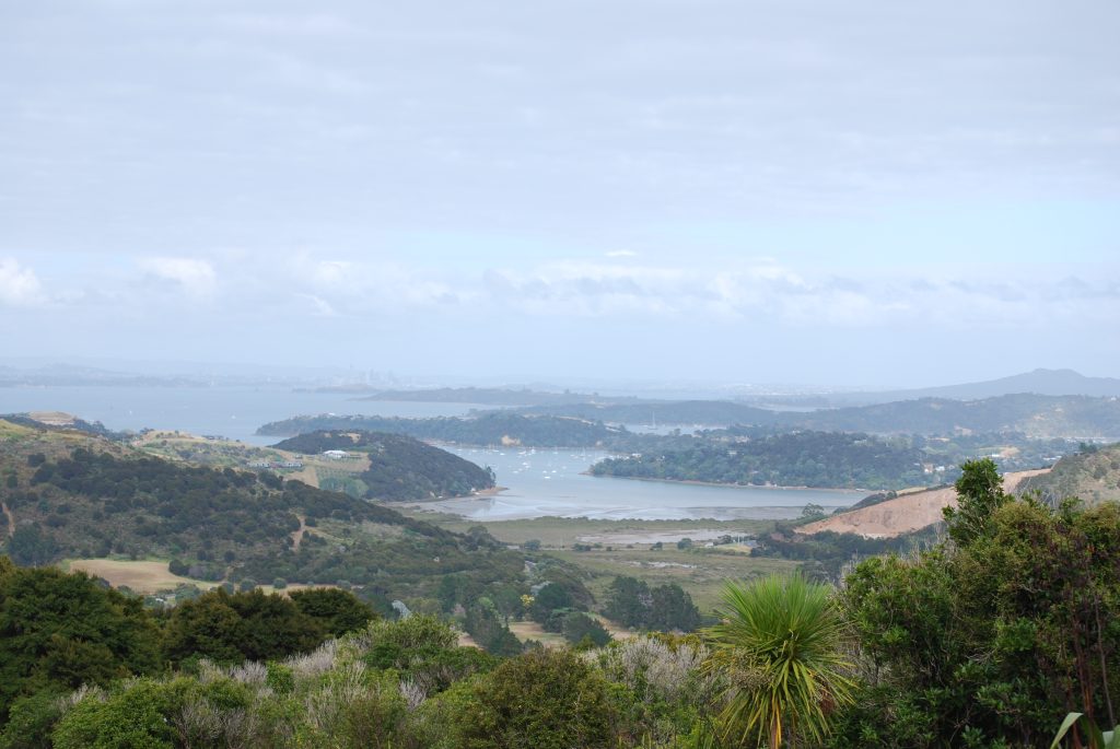 Matiatia Bay Coastal Walk