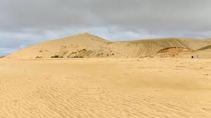 Giant Sand Dunes