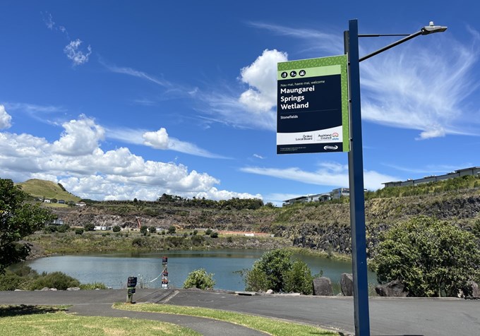 Maungarei Springs Wetland