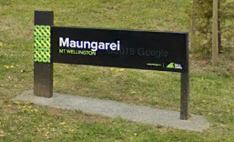 Maungarei