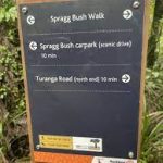 Spaggs Bush Walk