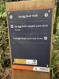 Spaggs Bush Walk