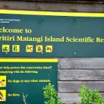 Tiritiri Matangi Island