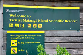 Tiritiri Matangi Island