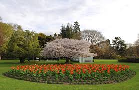 Christchurch botanic Gardens