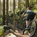 Forest Mountain Bike