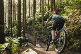 Forest Mountain Bike