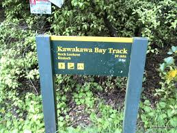 Kawakawa Bay Lookout