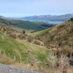 Otepatotu Scenic Reserve