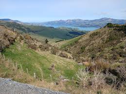 Otepatotu Scenic Reserve