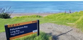 Pohutukawa Bay Beach