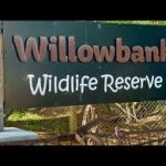 Willowbank Wildlife Reserve