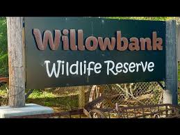 Willowbank Wildlife Reserve