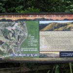 Papamoa Hills Cultural Heritage Regional Park