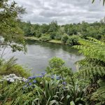 View from Pukeko Boardwalk