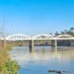 Tuakau bridge