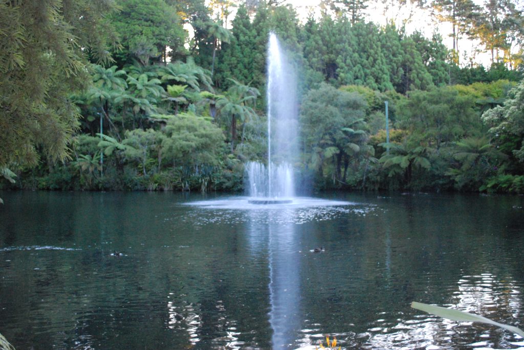 PukekuraPark