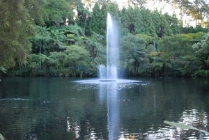 Pukekura Park