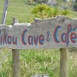 Nikau Cave