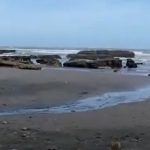 Waikato River Mouth Walks