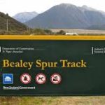 Bealey Spur Track
