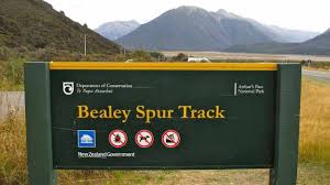 Bealey Spur Track