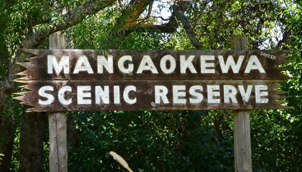Mangaokewa Gorge Walk