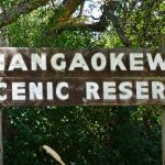 Mangaokewa Gorge Walk