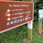 Te Henui Walkway