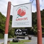 Whangārei Quarry Gardens