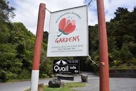 Whangārei Quarry Gardens