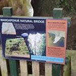 Mangapohue Natural Bridge