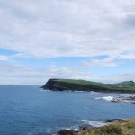 Curio Bay