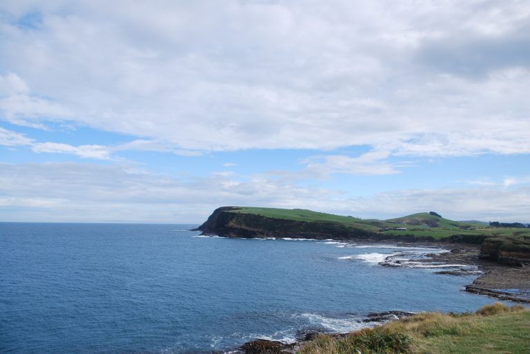 Curio Bay
