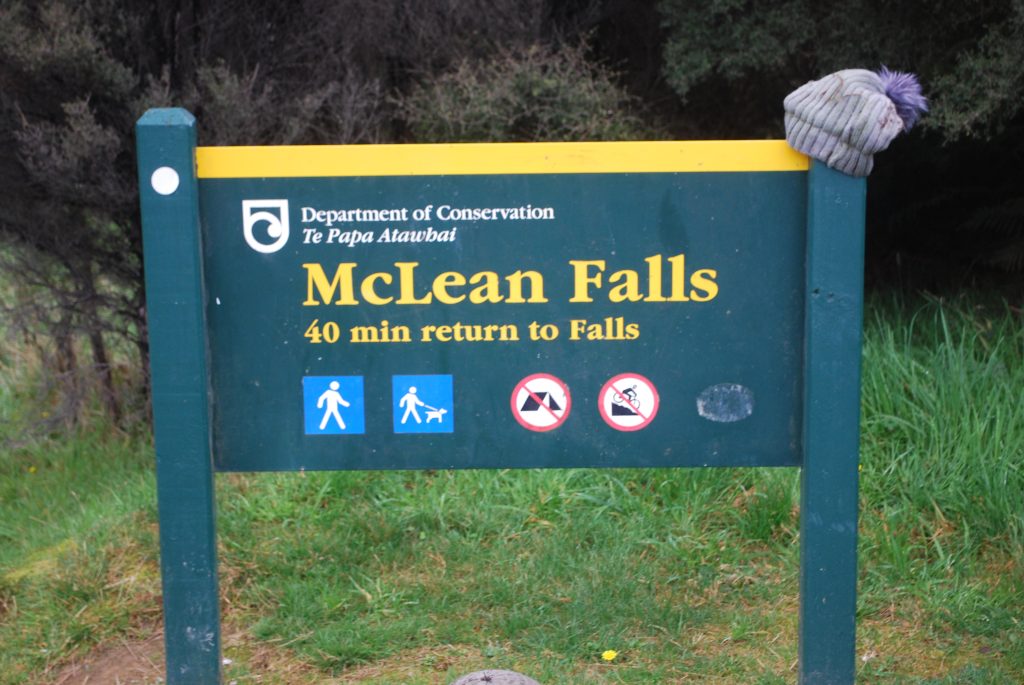 McLean Falls