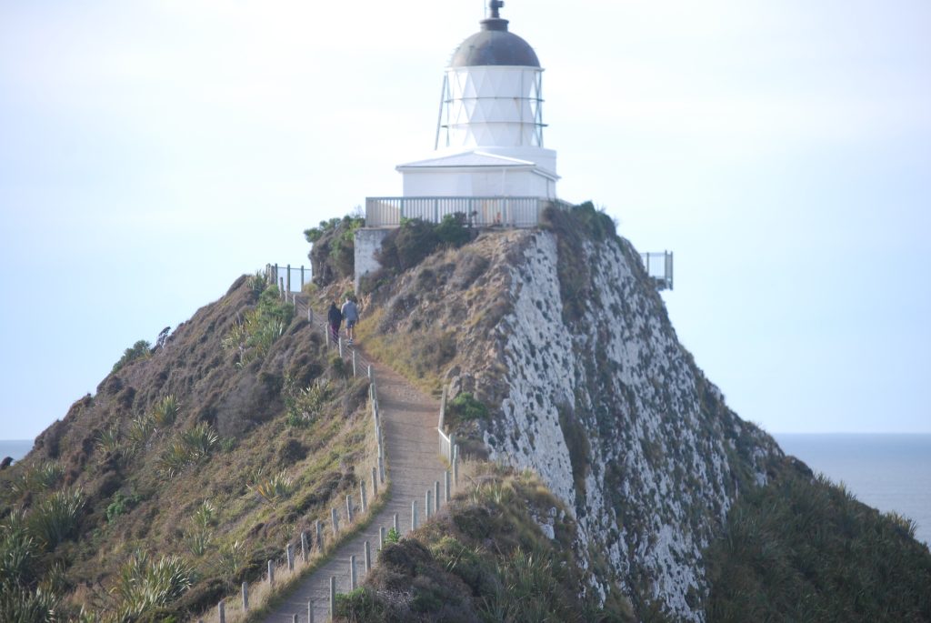 Nugget Point