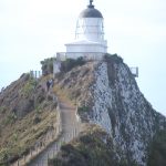 Nugget Point