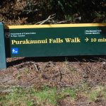 Purakaunui Falls